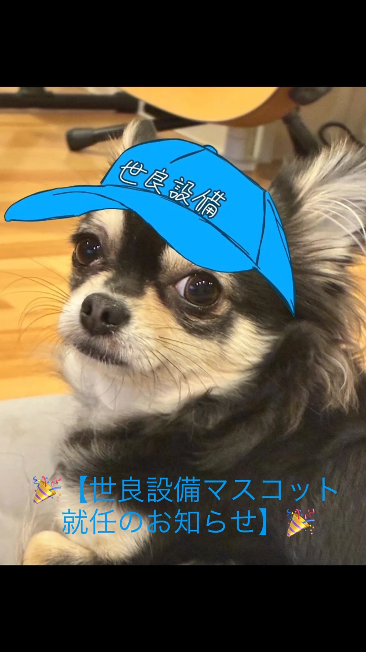 このたび、我が家の看板犬……ではなく🐶