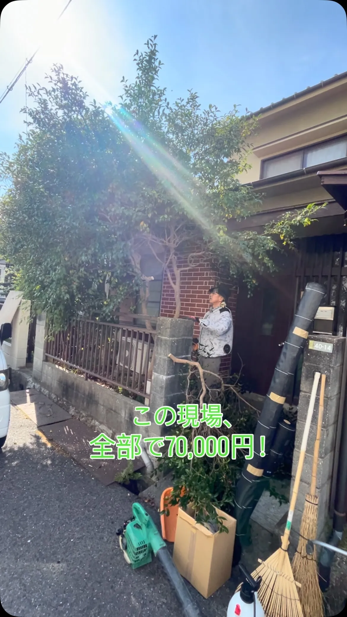 🌳【伐採・草刈り・防草シート施工】