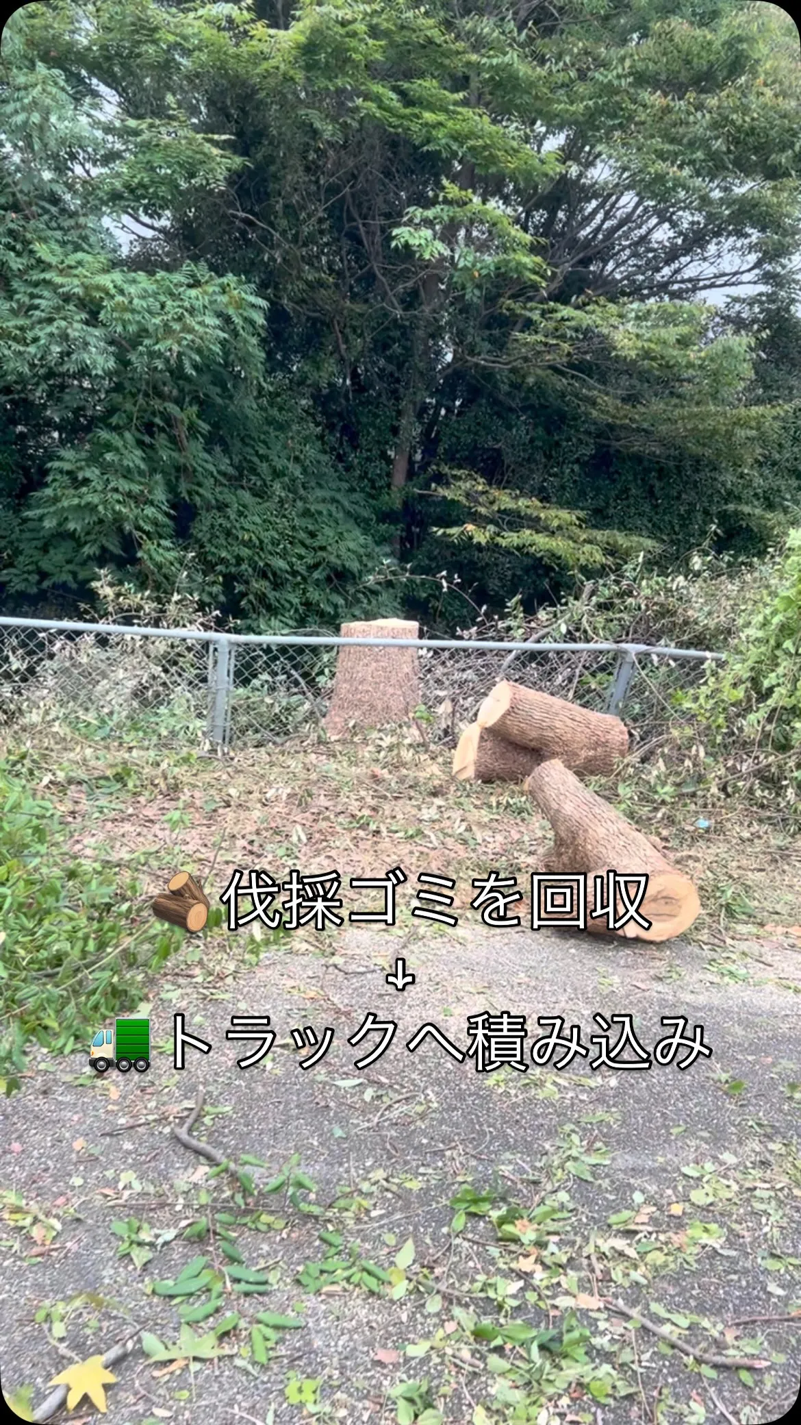 💰【35万円の現場・2日目】