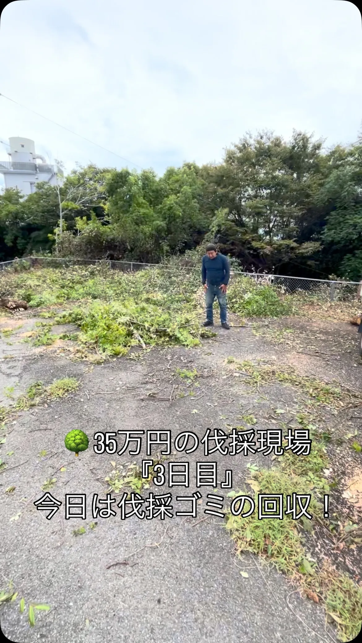 🌳【35万円の伐採現場・3日目】